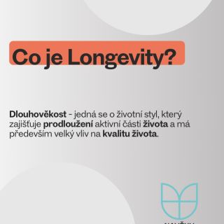 Co se skrývá za tím magickým slovem, které je v dnešní době tak často skloňované 👀?