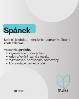 Co je dobré vědět ohledně spánku. 😴💤